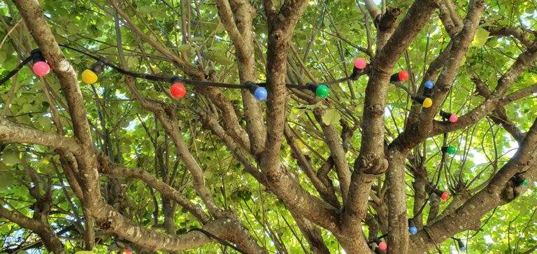 Guirlande d'ampoules de couleur dans un arbre