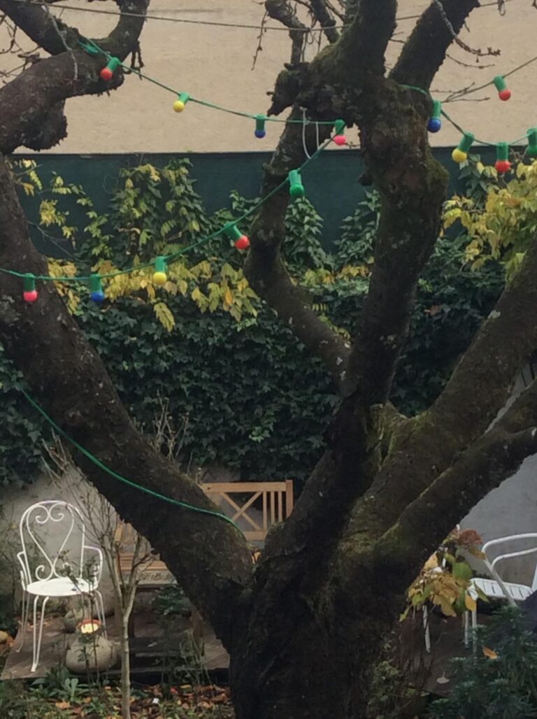 Ampoules multicolores suspendues dans un arbre de jardin