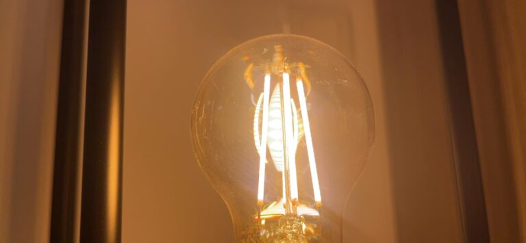 Gros plan sur le globe et les filaments LED de l'ampoule