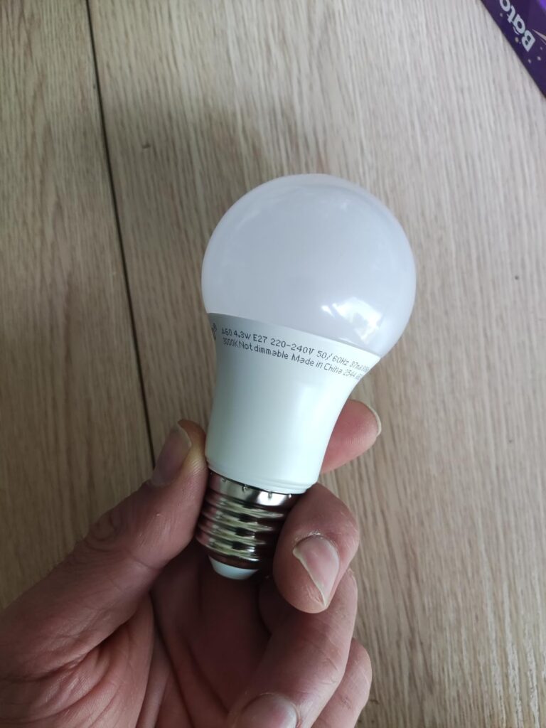 Ampoule LED E27 tenue en main