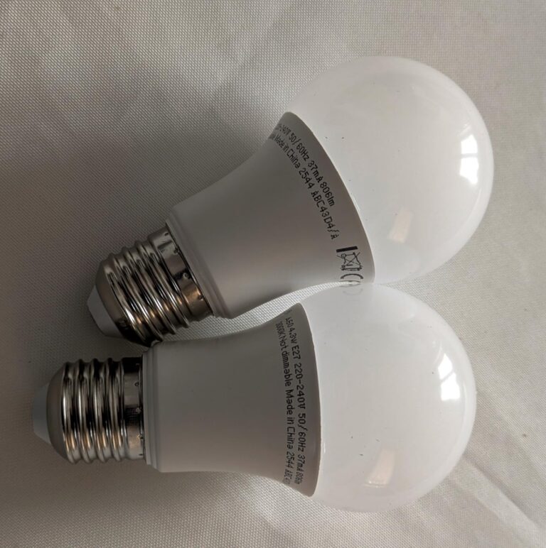 Deux ampoules LED E27 posées à plat