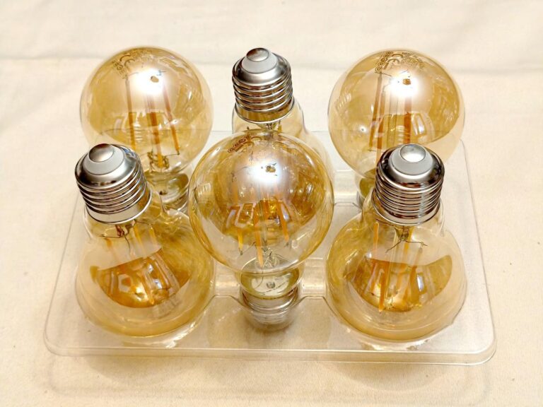 Lot d'ampoules dans le calage en plastique