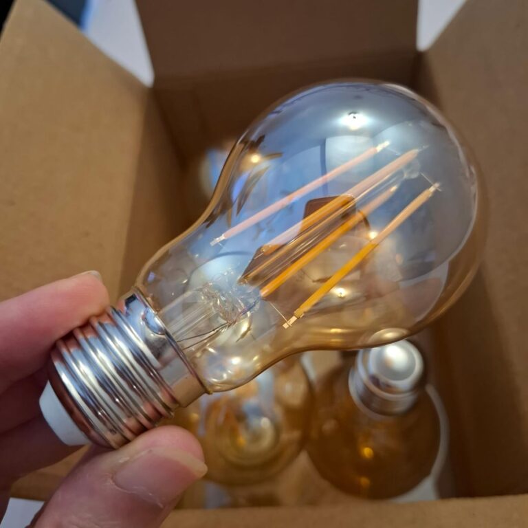 Ampoule LED tenue en main